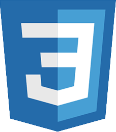 CSS icon